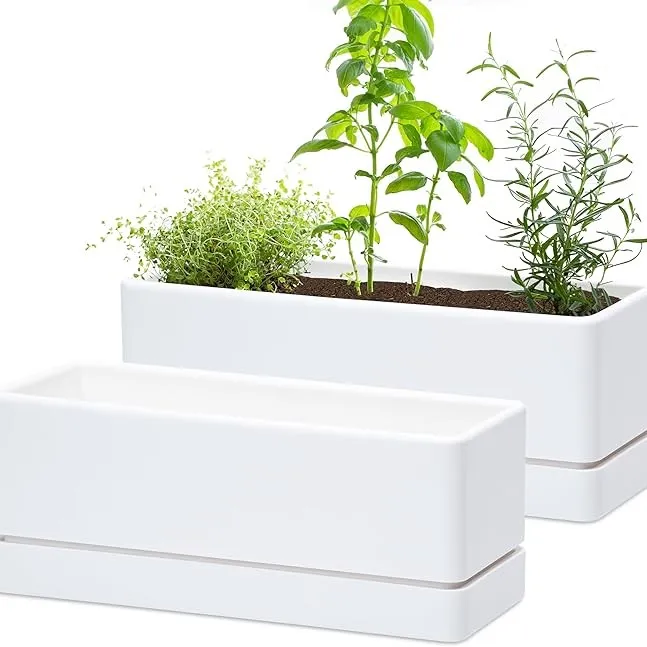 D'vine Dev 12 Inch Window Box Planter