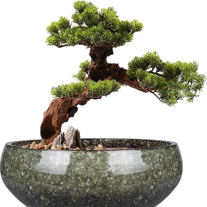 8 Inch Ceramic Bonsai Planter Pot