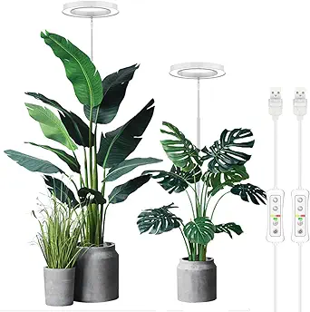 Plant Grow Light