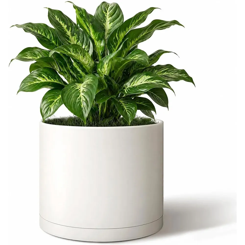 10-Inch Round Cylinder Plant Pot