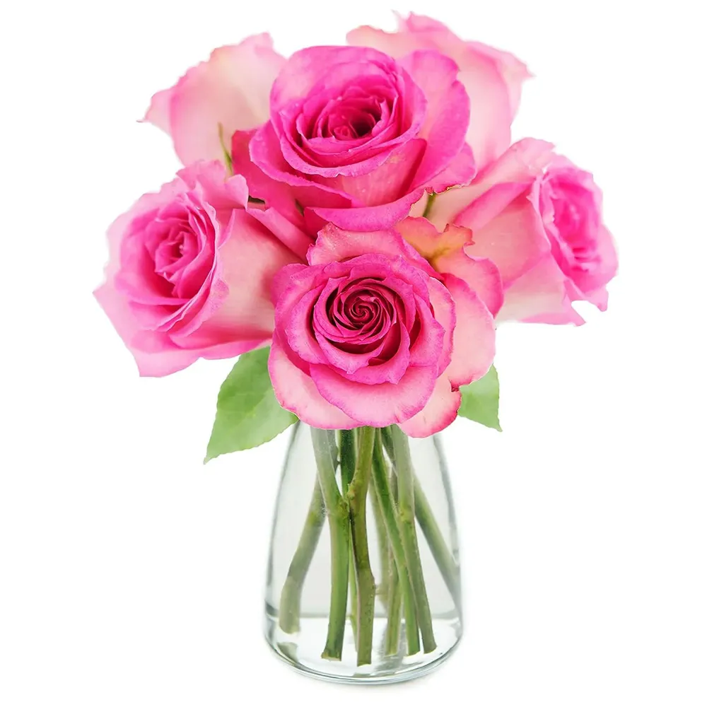 Sweet Pink Bouquet of 6 Fresh Cut Pink Roses