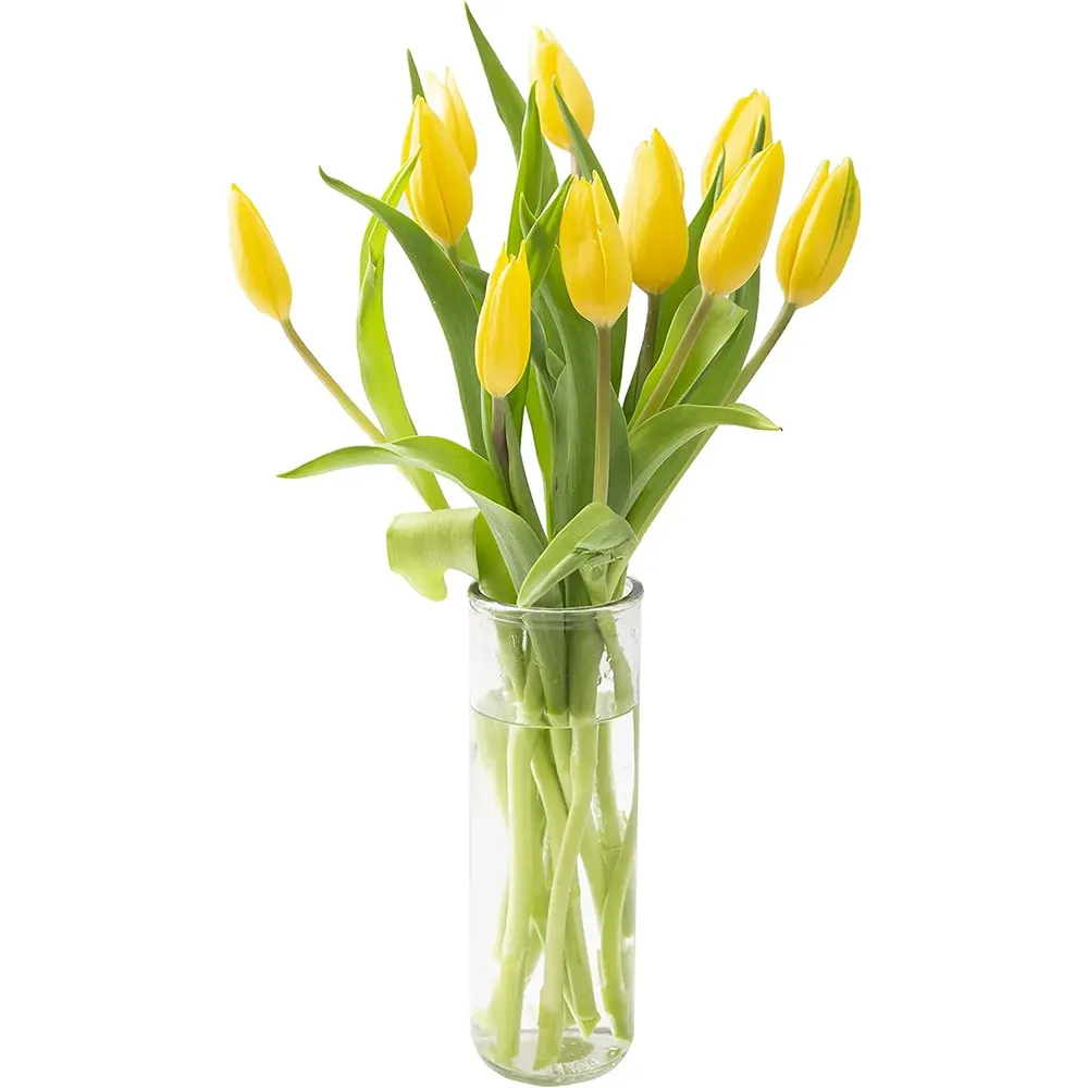 Bouquet of Fresh 10 Yellow Tulips with Vase