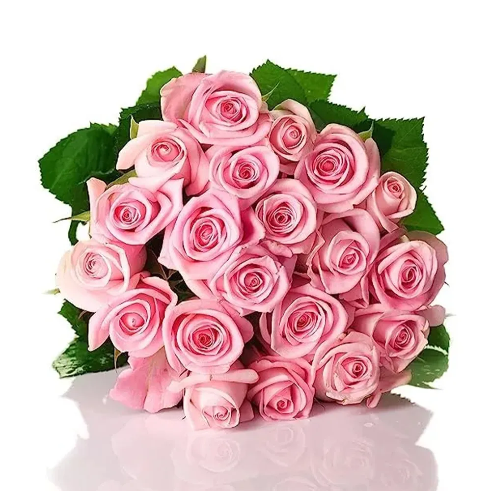 50 Pink Roses