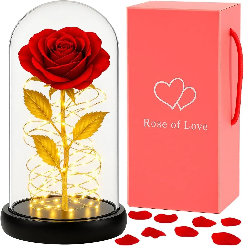 Retoo Eternal Rose in Glass with LED Light