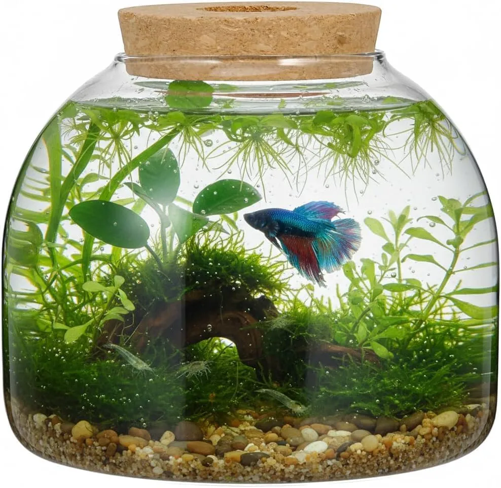 Glass Terrarium with Cork Lid