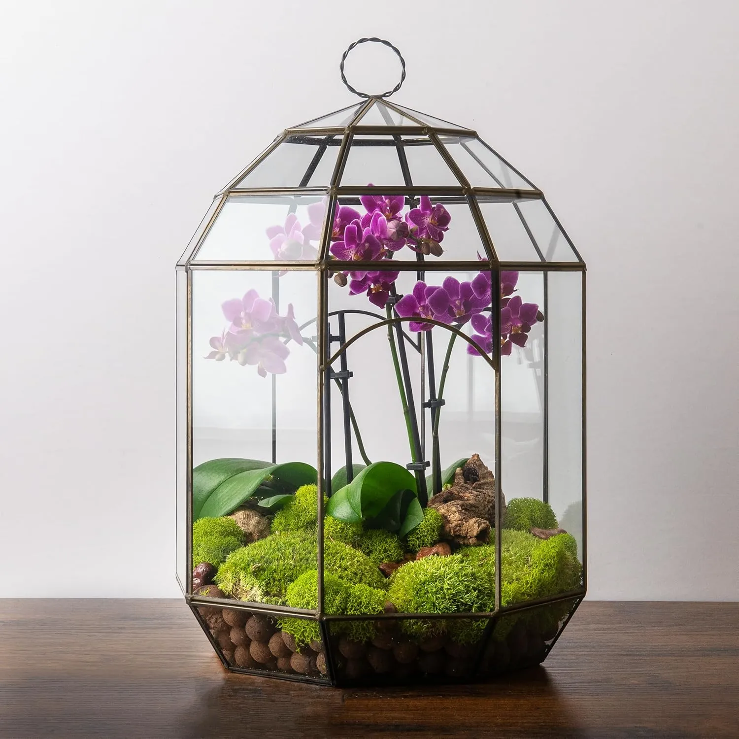 Glass Terrarium